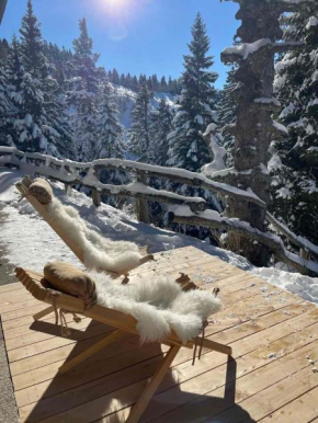 New cosy apartment with sauna - Krvavec